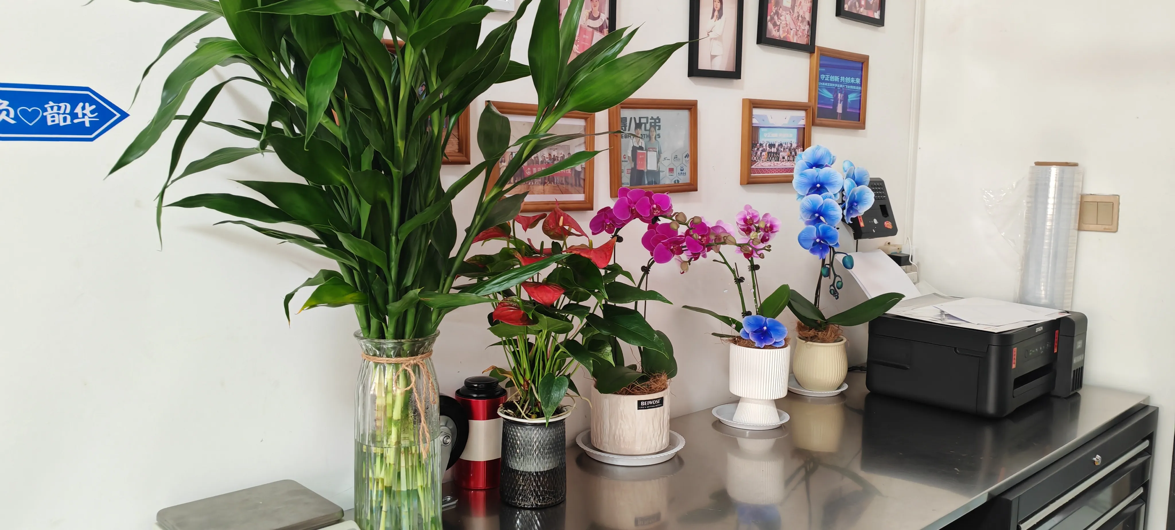 Вітаємо нових друзів JOJO Pack!