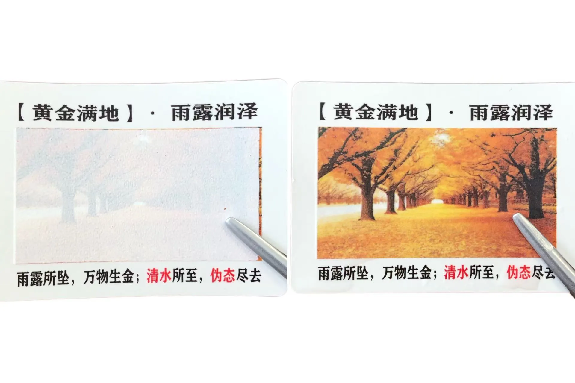 Чи знаєте ви чутливі до води етикетки зі зміною кольору?