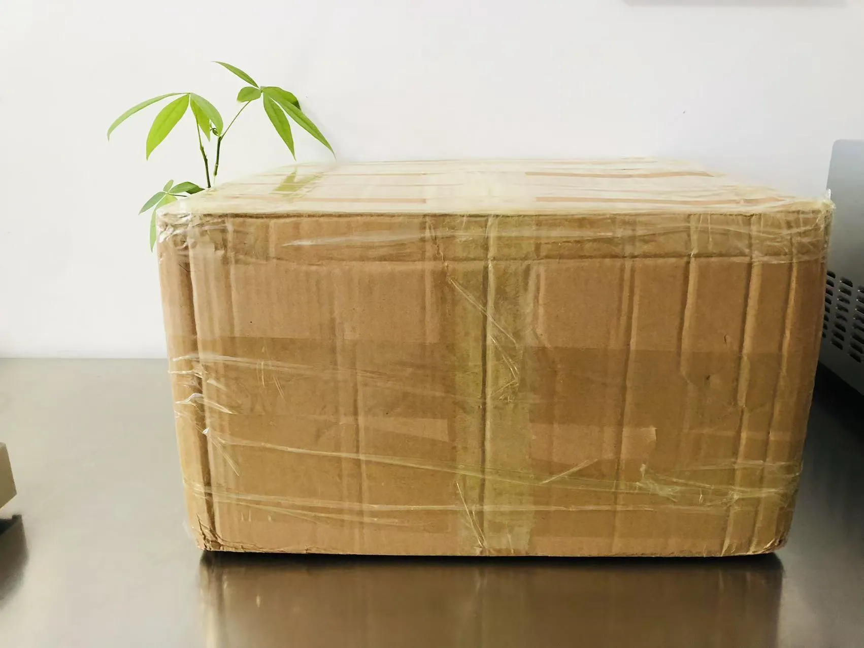 Мультяшні суцільні епоксидні наклейки зараз у дорозі до Японії